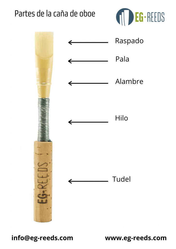 Partes de una caña