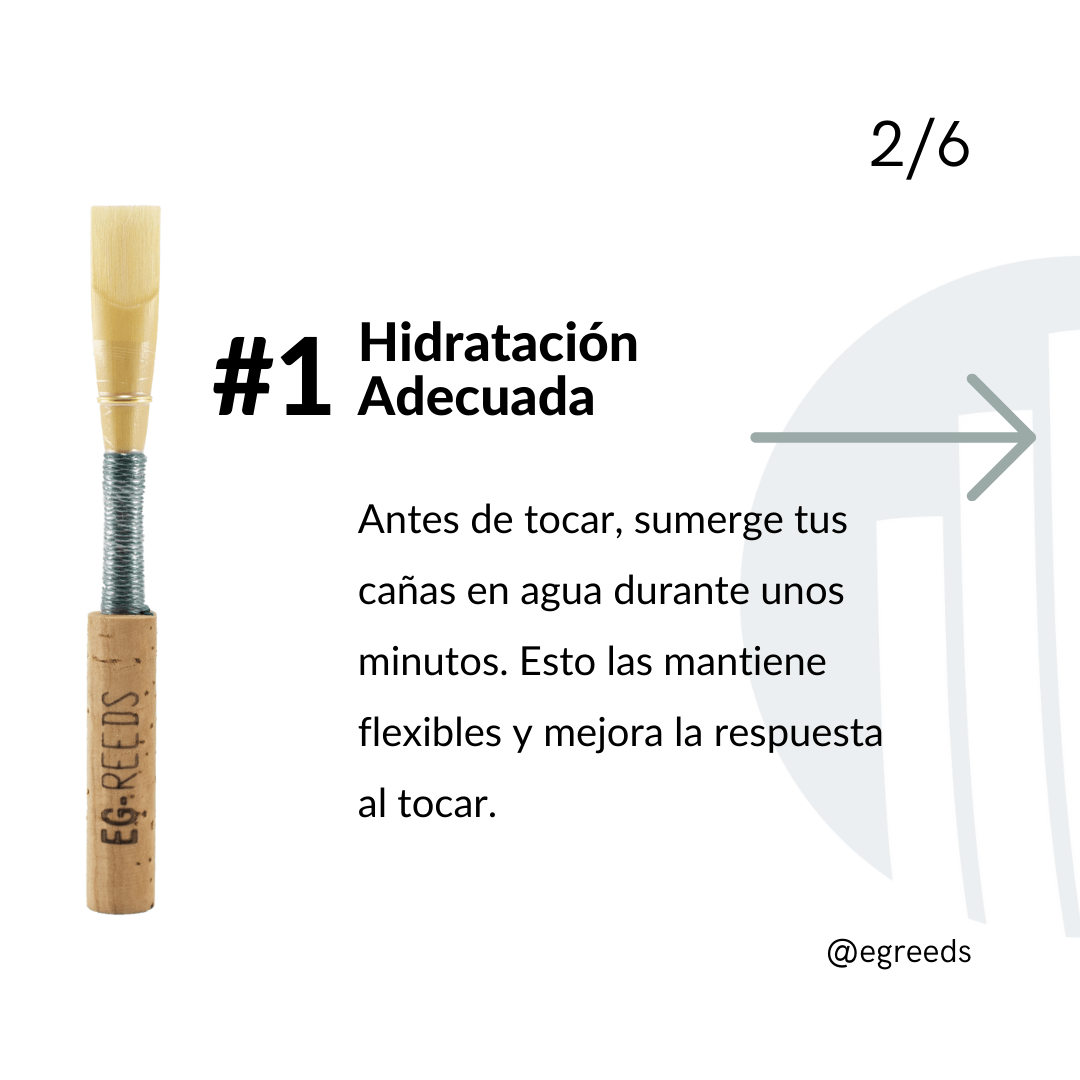 Hidratación cañas