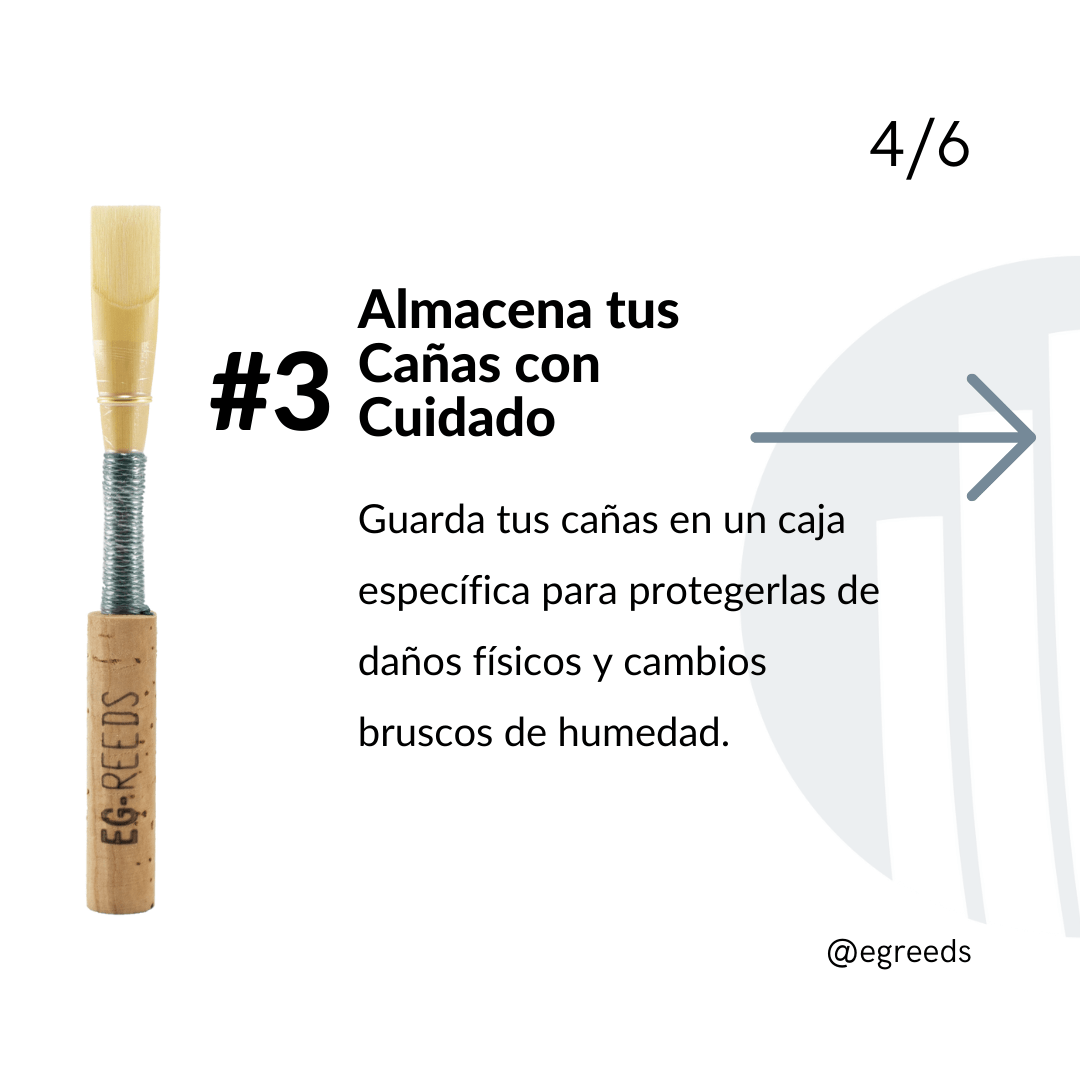almacenamiento cañas oboe