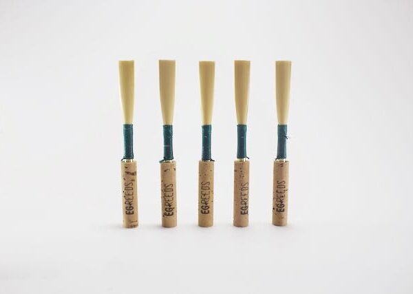 Blank oboe reed