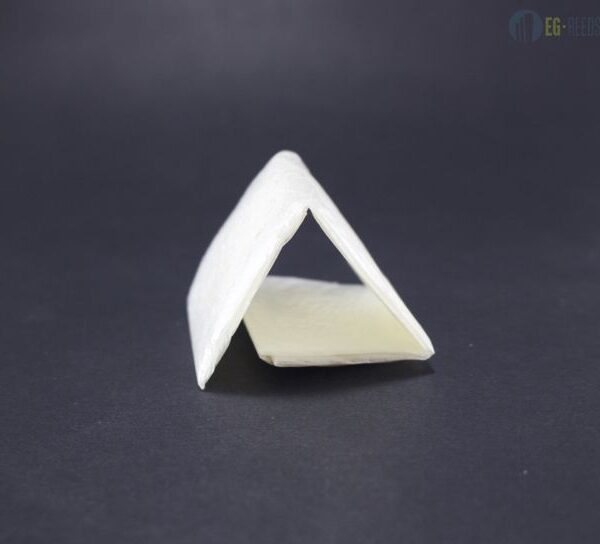 Alternative view of フイッシュスキン