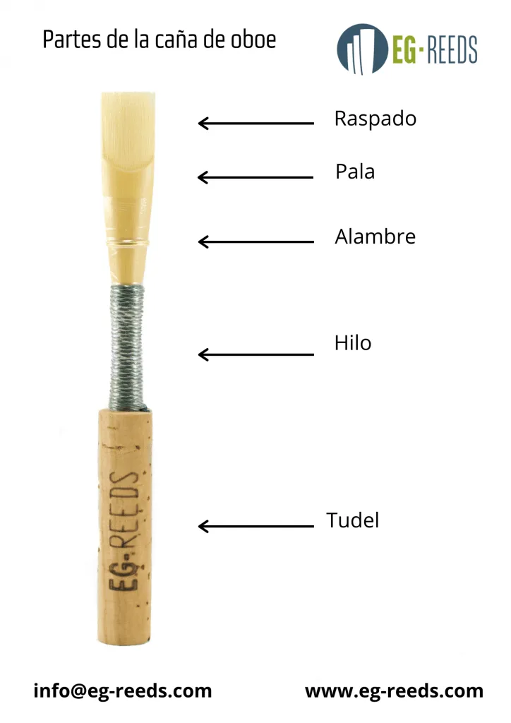 Parti di un’ancia per oboe