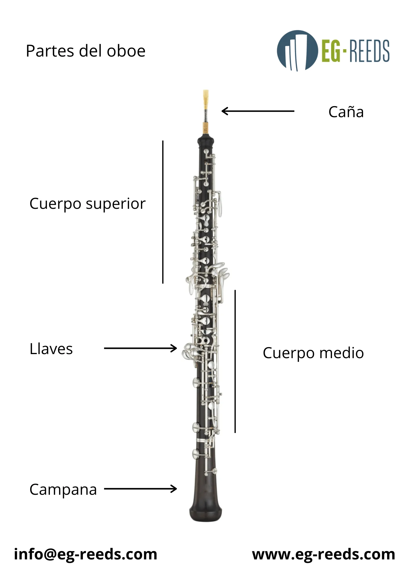 Parti di un oboe professionale