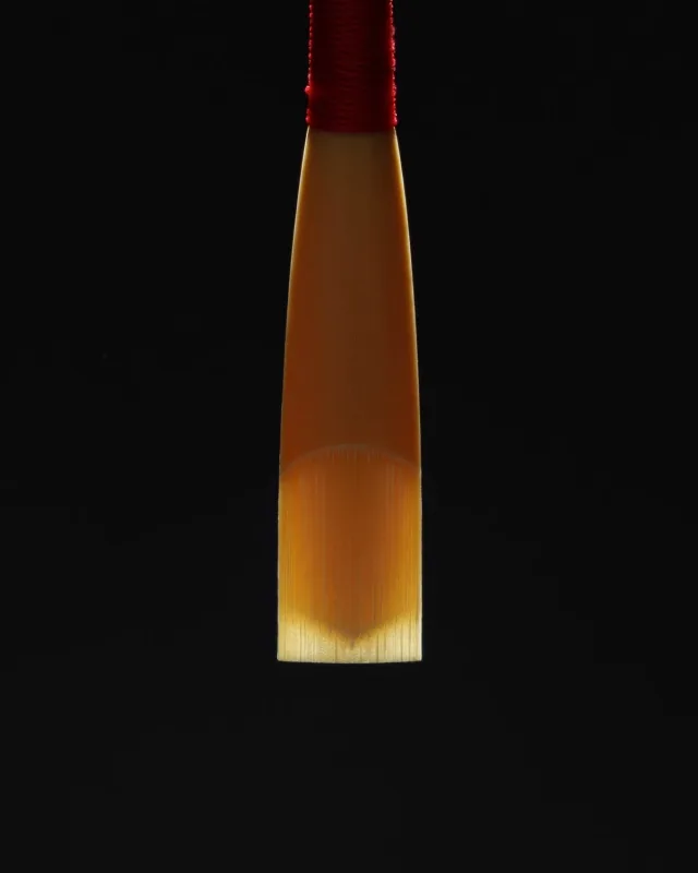 Resultado de raspado del molde CR2