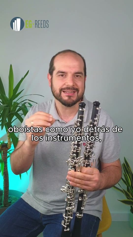 Vídeo: aluga em vez de comprar (em espanhol)